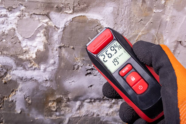 Best Kitchen Mold Remediation in Thiensville, WI