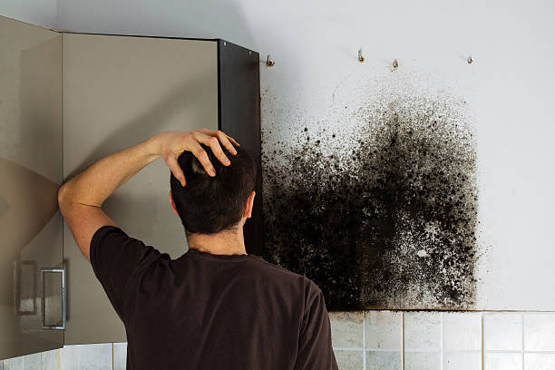 Best Bathroom Mold Remediation in Thiensville, WI